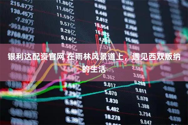 银利达配资官网 在雨林风景道上，遇见西双版纳的生活