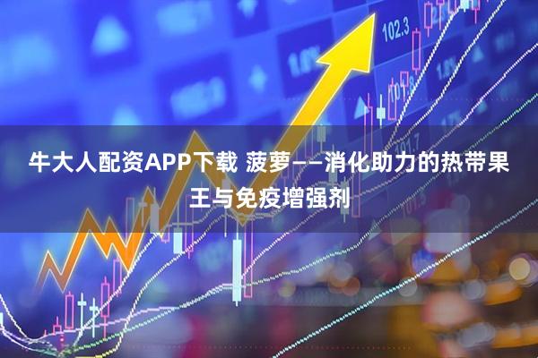 牛大人配资APP下载 菠萝——消化助力的热带果王与免疫增强剂